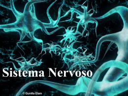 Sistema Nervoso Tecido nervoso • Principal tecido do sistema nervoso  • Tipos celulares: - Neurônios – condução de impulsos nervosos - Células da Glia –