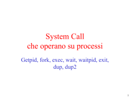 System Call che operano su processi Getpid, fork, exec, wait, waitpid, exit, dup, dup2