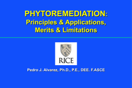 PHYTOREMEDIATION: Principles & Applications, Merits & Limitations  Pedro J. Alvarez, Ph.D., P.E., DEE.