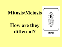 Mitosis/Meiosis How are they different? The exchange of DNA between the chromatid arms on homologous pairs is called ________________ Crossing over  This type of cell division used.