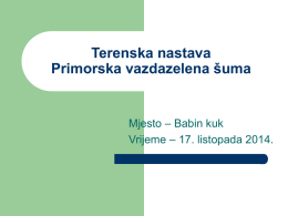 Terenska nastava Primorska vazdazelena šuma  Mjesto – Babin kuk Vrijeme – 17. listopada 2014.