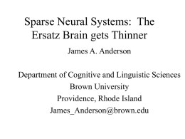 Sparse Neural Systems: The Ersatz Brain gets Thinner James A. Anderson  Department of Cognitive and Linguistic Sciences Brown University Providence, Rhode Island James_Anderson@brown.edu.