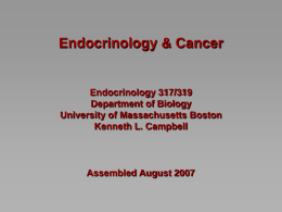 Endocrinology & Cancer  Endocrinology 317/319 Department of Biology University of Massachusetts Boston Kenneth L.