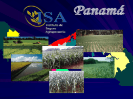 El seguro agrícola en Panamá se estableció en el año 1976 iniciándose con los programas de maíz, sorgo y arroz. Veinte años.