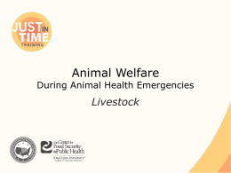 Animal Welfare  During Animal Health Emergencies  Livestock Animal Welfare ● Ethical responsibility ● Ensuring well being – Physical and mental  ● Consideration of – Health – Behavior – Biological.