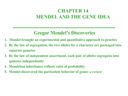CHAPTER 14 MENDEL AND THE GENE IDEA Gregor Mendel’s Discoveries 1. Mendel brought an experimental and quantitative approach to genetics 2.