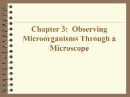 Chapter 3: Observing Microorganisms Through a Microscope Microscopy: The technology of making very small things visible to the naked eye. Units of Measurement: The.