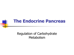 The Endocrine Pancreas Regulation of Carbohydrate Metabolism Copyright © The McGraw-Hill Companies, Inc.
