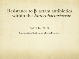 Resistance to b-lactam antibiotics within the Enterobacteriaceae Paul D. Fey, Ph. D. University of Nebraska Medical Center.