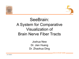 SeeBrain: A System for Comparative Visualization of Brain Nerve Fiber Tracts Joshua New Dr. Jian Huang Dr.