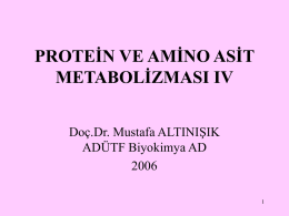 PROTEİN VE AMİNO ASİT METABOLİZMASI IV Doç.Dr. Mustafa ALTINIŞIK ADÜTF Biyokimya AD1 Amino asitlerin dokulardaki akıbeti • Ketoasitlere dönüşüm • Biyolojik aminlere dönüşüm • Protein olmayan azotlu.