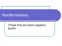 Nonfermenters (Those that are Gram-negative bacilli) Nonfermenters   Nonfermenters are found in nature as inhabitants of soil and water and as harmless parasites on the mucous.