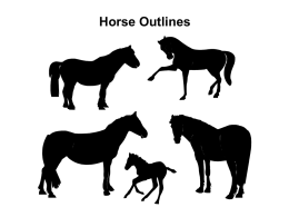 Horse Outlines Use of templates You are free to use these templates for your personal and business presentations. We have put a lot.