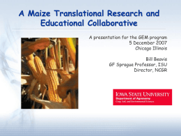 A Maize Translational Research and Educational Collaborative A presentation for the GEM program 5 December 2007 Chicago Illinois Bill Beavis GF Sprague Professor, ISU Director, NCGR.