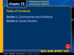 Chapter 12  Inheritance Patterns and Human Genetics  Table of Contents Section 1 Chromosomes and Inheritance Section 2 Human Genetics.