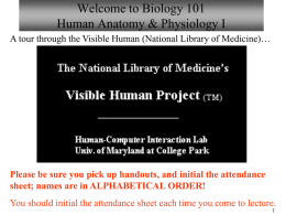 Welcome to Biology 101 Human Anatomy & Physiology I A tour through the Visible Human (National Library of Medicine)…  Please be sure you.