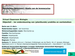 Marchantia (levermos): Stadia van de levenscyclus  Virtual Classroom Biologie: http://www.vcbio.science.ru.nl/virtuallessons/ Objectief: - ter ondersteuning van (plantkunde) praktika en werkstukken Serie van 11 dia’s Nederlandse.