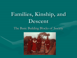 Families, Kinship, and Descent The Basic Building Blocks of Society Family, Kinship, Descent • The way in which people behave toward one another is based.