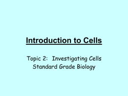 Introduction to Cells Topic 2: Investigating Cells Standard Grade Biology Magnification Cells can be seen more clearly using  microscopes  magnify Microscopes _________________________ the cells  Microscopes may have two.