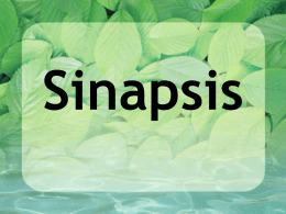 Sinapsis Sinapsis 1. Contacto funcional que se establece entre las neuronas o entre la neurona y algún órgano efector (músculo o glándula) 2.
