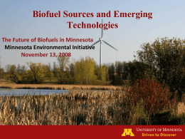 Biofuel Sources and Emerging Technologies The Future of Biofuels in Minnesota Minnesota Environmental Initiative November 13, 2008