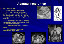 Aparatul reno-urinar Metode examinare -Radiografia renală simplă -SDC-Urografia intravenoasă (pielografia descendentă) , cistografia , pielografia ascendentă sau retrogradă , arteriografia renală selectivă după tehnica Seldinger -Ultrasonografia abdomino-pelvină, efectuată transabdominal,