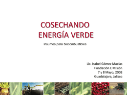 COSECHANDO ENERGÍA VERDE Insumos para biocombustibles  Lic. Isabel Gómez Macías Fundación E Misión 7 y 8 Mayo, 2008 Guadalajara, Jalisco.