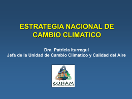 ESTRATEGIA NACIONAL DE CAMBIO CLIMATICO Dra. Patricia Iturregui Jefa de la Unidad de Cambio Climatico y Calidad del Aire.
