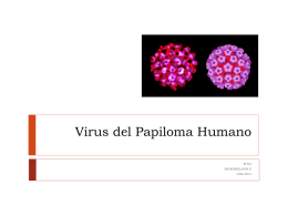 Virus del Papiloma Humano M.Paz MICROBIOLOGÍA II UMG-2014 Papiloma virus  Familia: Papillomaviridae  Anteriormente: Papoviridae     Virión con cápside icosaédrica    ADN circular bicatenario.