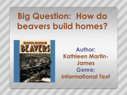 Big Question: How do beavers build homes? Author: Kathleen MartinJames Genre: Informational Text Big Question: How do beavers build homes? Monday Tuesday Wednesday Thursday Friday Review.