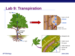 Lab 9: Transpiration  AP Biology  2004-2005 Lab 9: Transpiration  Description   test the effects of environmental factors on rate of transpiration  temperature  humidity  air flow.