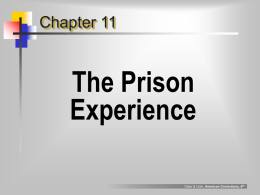 Chapter 11  The Prison Experience Clear & Cole, American Corrections, 6th “prisonization” (Donald Clemmer)  definition   the  process by which a new inmate absorbs the customs of prison society.