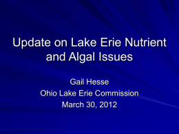 Update on Lake Erie Nutrient and Algal Issues Gail Hesse Ohio Lake Erie Commission March 30, 2012