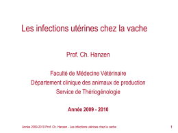 Les infections utérines chez la vache Prof. Ch. Hanzen Faculté de Médecine Vétérinaire Département clinique des animaux de production Service de Thériogénologie Année 2009 -