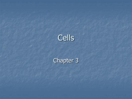 Cells Chapter 3      I. Overview  Cell Membrane Cytoplasm    Cytosol Organelles Nonmembranous: Cytoskeleton, Microvilli, Centrioles, Cilia, Flagella, Ribosomes  Membranous: Mitochondria, Nucleus, Endoplasmic Reticulum, Golgi Apparatus, Lysosomes, Peroxisomes, Vesicles 