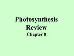 Photosynthesis Review Chapter 8 Plants “look green” because they reflect _____________ green wavelengths of light. absorb  reflect  Photosynthesis in plants takes place inside which organelle?  chloroplasts.