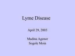 Lyme Disease April 29, 2003 Madina Agenor Sogole Moin Disease History • In the early 1900s, manifestation first reported in Europe – associated it with.