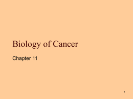 Biology of Cancer Chapter 11 Cancer     Derived from Greek word for crab, karkinoma Malignant tumor Tumor   Also referred to as a neoplasm—new growth Mosby items and.