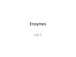Enzymes Lab 5 Enzymes • Reaction characteristics – Enzymes are catalysts: substances that speed up or facilitate a chemical reaction by LOWERING the activation energy –