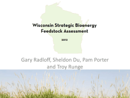 Gary Radloff, Sheldon Du, Pam Porter and Troy Runge Agenda • Background: Research for WI Energy Office • Quality – Survey on sample properties –