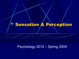 Sensation & Perception  Psychology 2012 – Spring 2004 Sensation & Perception Sensation – detection of basic sensory experiences   Sounds, touch, smells  Perception – interpretation of sensations.