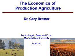 The Economics of Production Agriculture Dr. Gary Brester  Dept. of Agric. Econ. and Econ. Montana State University ECNS 101