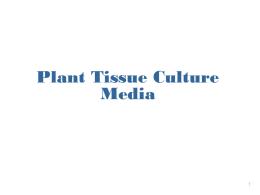 Plant Tissue Culture Media Logical Basis For healthy and vigorous growth, intact plants need to take up from soil of an essential elements: 