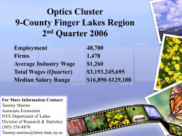 Optics Cluster 9-County Finger Lakes Region 2nd Quarter 2006 Employment Firms Average Industry Wage Total Wages (Quarter) Median Salary Range  For More Information Contact: Tammy Marino Associate Economist NYS Department of.