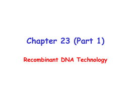 Chapter 23 (Part 1) Recombinant DNA Technology Recombinant DNA Technology • Methods for isolating, manipulating, and amplifying identifiable DNA sequences. • Allows us to study the.
