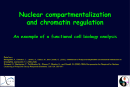 Nuclear compartmentalization and chromatin regulation An example of a functional cell biology analysis  Data from: Bantignies, F., Grimaud, C., Lavrov, S., Gabut, M., and.