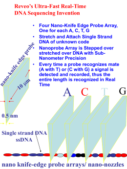 Reveo’s Ultra-Fast Real-Time DNA Sequencing Invention • Four Nano-Knife Edge Probe Array, One for each A, C, T, G • Stretch and Attach Single.