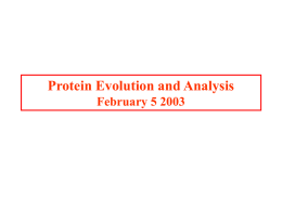 Protein Evolution and Analysis February 5 2003 Protein Assays • • • •  An assay is a method of detection Specific Sensitive Convenient to use.