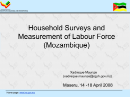 INSTITUTO NACIONAL DE ESTATÍSTICA  Household Surveys and Measurement of Labour Force (Mozambique)  Xadreque Maunze (xadreque.maunze@rgph.gov.mz)  Maseru, 14 -18 April 2008 Home page: www.ine.gov.mz.