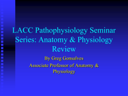 LACC Pathophysiology Seminar Series: Anatomy & Physiology Review By Greg Gonsalves Associate Professor of Anatomy & Physiology.